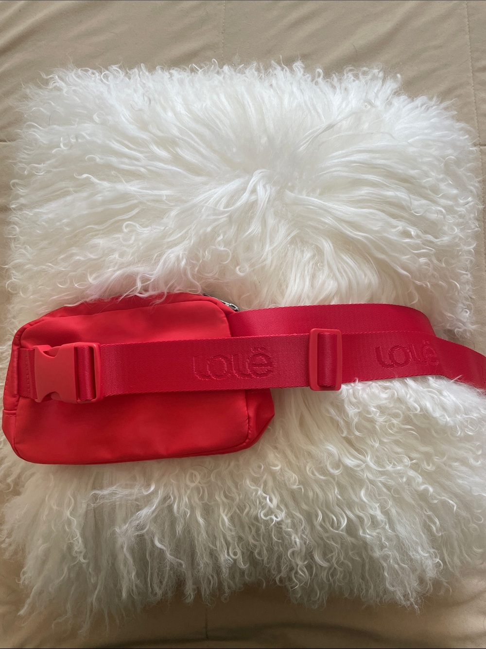 ❤️LOLE Belt Bag Crossbody - Picture 3 of 12